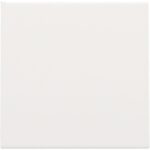 Enjoliveur pour cache-trou, BLANC steel (ref:154-76901)