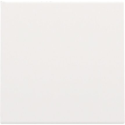 Enjoliveur pour cache-trou, BLANC steel (ref:154-76901)