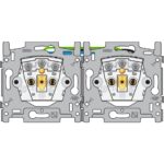 Prise de courant double, horizontal avec broche de terre et sécurité enfants (ref:170-38701)