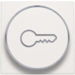 Manette avec anneau translucide et symbole clef pour bouton poussoir 6A, blanc (ref:101-64009)