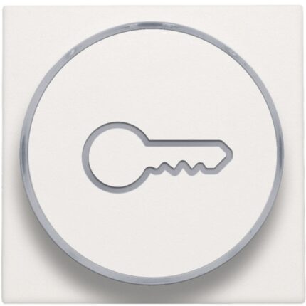 Manette avec anneau translucide et symbole clef pour bouton poussoir 6A, blanc (ref:101-64009)