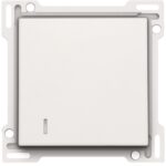 Manette pour interrupteur pour carte d'hôtel 10A 250V AC, blanc (ref:101-61901)