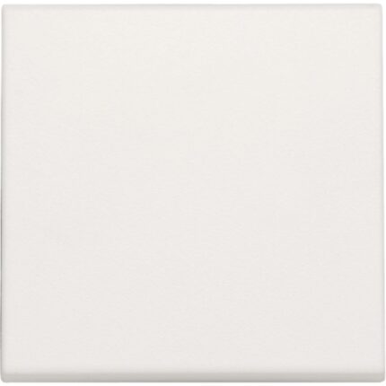 Manette pour variateur LED 2-100W, blanc (ref:101-31002)