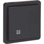 HYDRO POUSSOIRx2 LUMINEUX 10A 250V 2 NO/NG APPARENT NOIR (ref:761-35100)