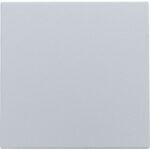 Enjoliveur pour cache-trou, sterling (ref:121-76901)