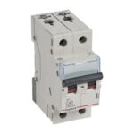 Disjoncteur TX³ 3kA 2P C40 230/400V - 2 modules (ref:403120)