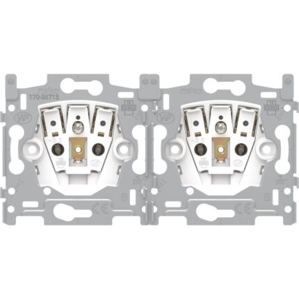PRISE 2P+T DOUBLE bornes auto (ref:170-38715)